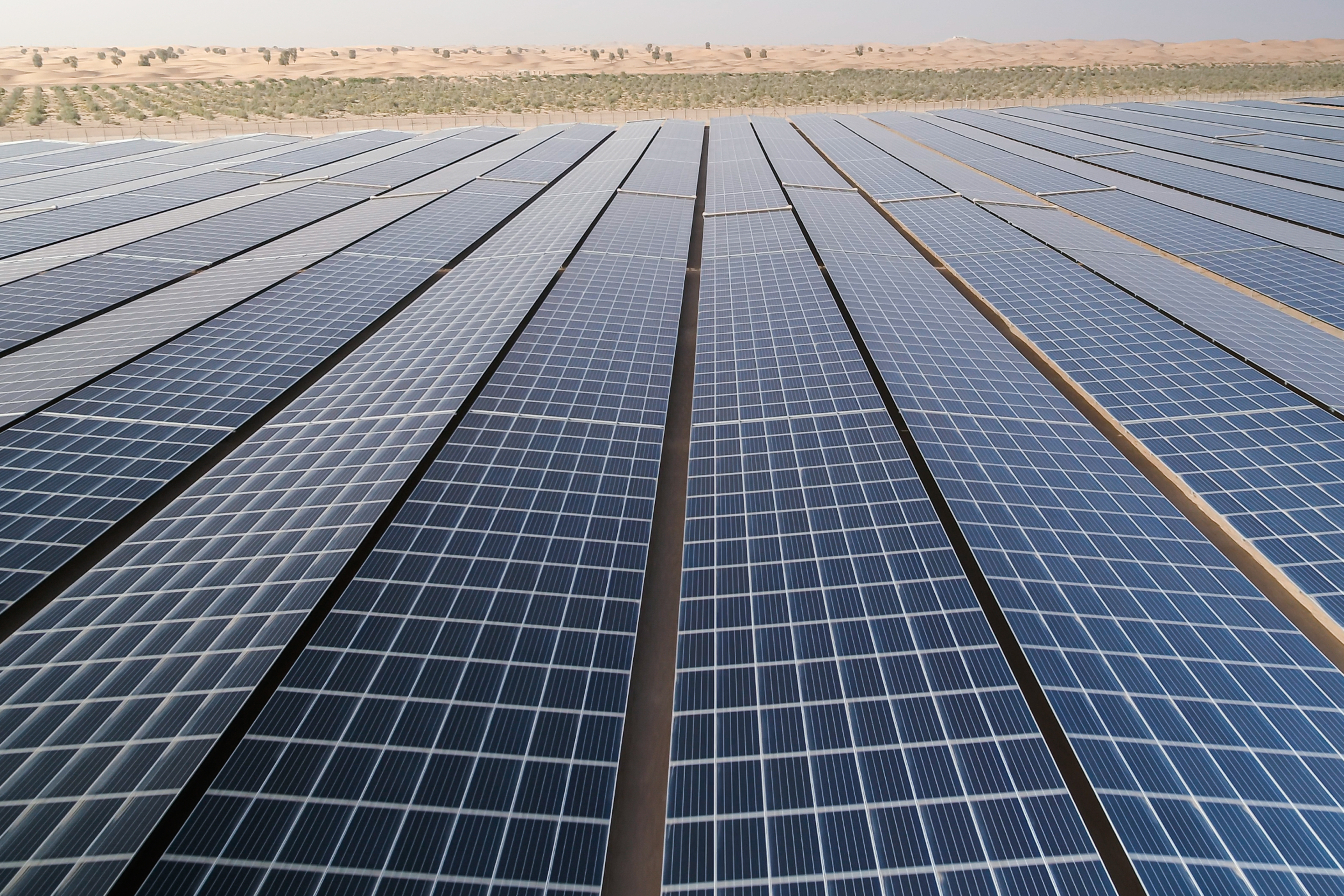 Sterling And Wilson Wins Rs 1,200 Crore Order In Gujarat